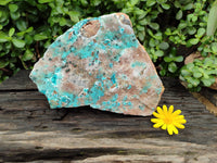 Natural Drusy Coated Chrysocolla Specimen x 1 From Likasi, Congo