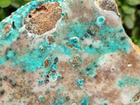 Natural Drusy Coated Chrysocolla Specimen x 1 From Likasi, Congo