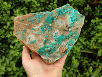 Natural Drusy Coated Chrysocolla Specimen x 1 From Likasi, Congo