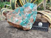 Natural Drusy Coated Chrysocolla Specimen x 1 From Likasi, Congo