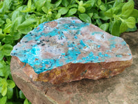 Natural Drusy Coated Chrysocolla Specimen x 1 From Likasi, Congo