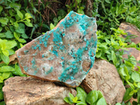 Natural Drusy Coated Chrysocolla Specimen x 1 From Likasi, Congo