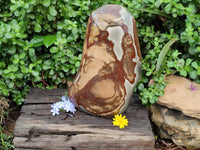 Polished Polychrome Jasper Standing Free Form x 1 From Madagascar