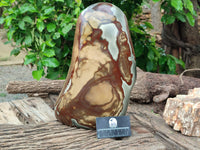 Polished Polychrome Jasper Standing Free Form x 1 From Madagascar