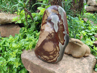 Polished Polychrome Jasper Standing Free Form x 1 From Madagascar