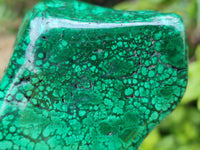 Polished Flower Banded Malachite Free Forms x 2 From Congo