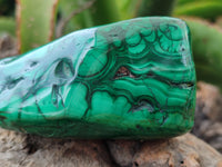 Polished Flower Banded Malachite Free Forms x 2 From Congo