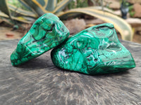 Polished Flower Banded Malachite Free Forms x 2 From Congo