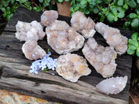 Natural Spirit Quartz Clusters x 9 From Boekenhouthoek, South Africa