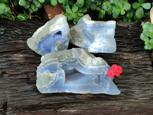 Natural Blue Lace Agate Geode Specimens x 3 From Malawi