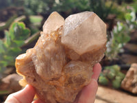 Natural Smokey Phantom Quartz Clusters x 2 From Luena, Congo