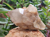 Natural Smokey Phantom Quartz Clusters x 2 From Luena, Congo