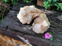 Natural Smokey Phantom Quartz Clusters x 2 From Luena, Congo