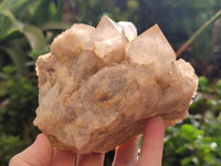 Natural Smokey Phantom Quartz Clusters x 2 From Luena, Congo