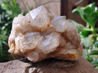 Natural Smokey Phantom Quartz Clusters x 2 From Luena, Congo