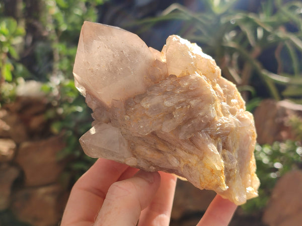 Natural Smokey Phantom Quartz Clusters x 2 From Luena, Congo