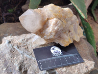 Natural Smokey Phantom Quartz Clusters x 2 From Luena, Congo