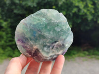 Natural Watermelon Fluorite Cobbed Specimens x 4 From Uis, Namibia