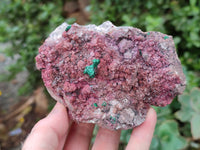 Natural Salrose Cobaltion Dolomite Specimens x 3 From Kakanda, Congo