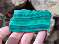 Polished Flower Banded Malachite Slices x 24 From Congo