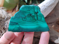 Polished Flower Banded Malachite Slices x 24 From Congo