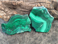 Polished Flower Banded Malachite Slices x 24 From Congo