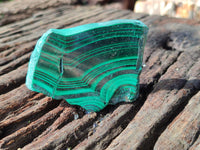 Polished Flower Banded Malachite Slices x 24 From Congo