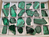 Polished Flower Banded Malachite Slices x 24 From Congo