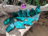 Polished Flower Banded Malachite Slices x 24 From Congo