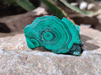 Polished Flower Banded Malachite Slices x 24 From Congo