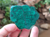 Polished Flower Banded Malachite Slices x 24 From Congo