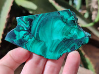 Polished Flower Banded Malachite Slices x 24 From Congo