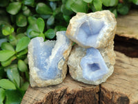 Natural Blue Lace Agate Geode Specimens x 35 From Malawi