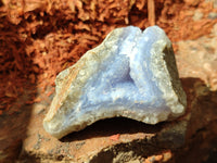 Natural Blue Lace Agate Geode Specimens x 35 From Malawi