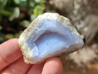 Natural Blue Lace Agate Geode Specimens x 35 From Malawi