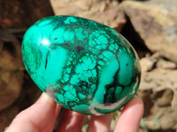 Polished Rare Extra Large Flower Banded Malachite Eggs  - Sold Per Item - From Congo