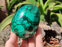 Polished Rare Extra Large Flower Banded Malachite Eggs  - Sold Per Item - From Congo