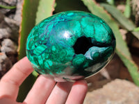 Polished Rare Extra Large Flower Banded Malachite Eggs  - Sold Per Item - From Congo