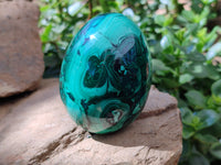 Polished Rare Extra Large Flower Banded Malachite Eggs  - Sold Per Item - From Congo