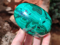 Polished Rare Extra Large Flower Banded Malachite Eggs  - Sold Per Item - From Congo