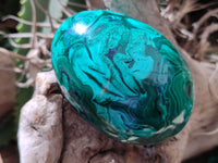 Polished Rare Extra Large Flower Banded Malachite Eggs  - Sold Per Item - From Congo