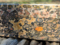 Hand Made Snakeskin Jasper Jewellery Box x 1 From Australia