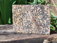 Hand Made Snakeskin Jasper Jewellery Box x 1 From Australia