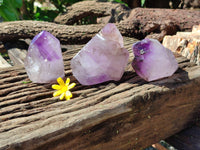 Polished Smokey Window Amethyst Quartz Crystals x 3 From Madagascar