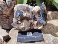 Natural Smokey Quartz Clusters x 2 From Zomba, Malawi