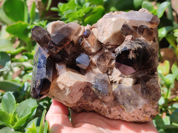 Natural Smokey Quartz Clusters x 2 From Zomba, Malawi