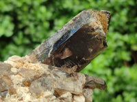 Natural Smokey Quartz Clusters x 2 From Zomba, Malawi