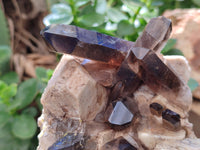 Natural Smokey Quartz Clusters x 2 From Zomba, Malawi