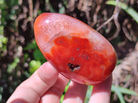 Polished Carnelian Standing Free Forms x 6 From Madagascar