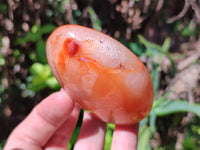 Polished Carnelian Standing Free Forms x 6 From Madagascar